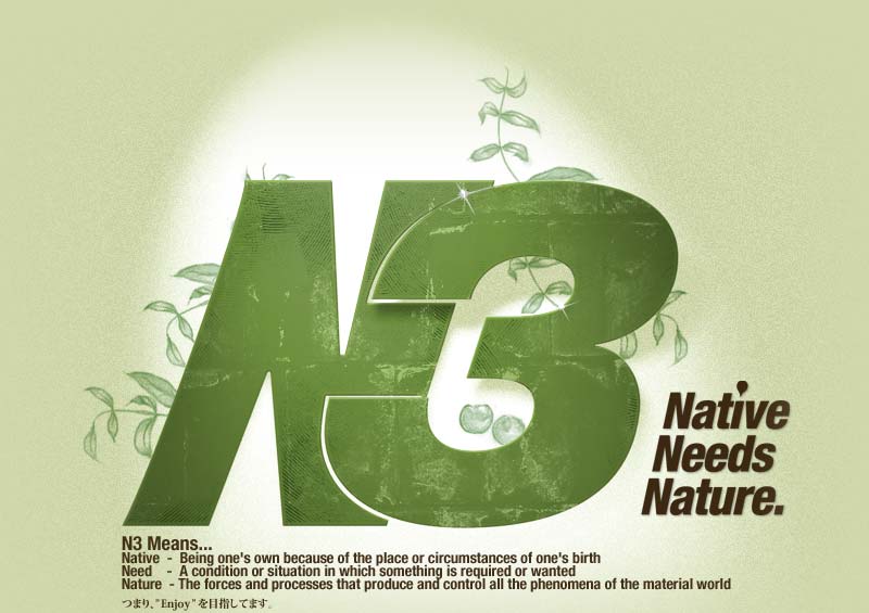 N3